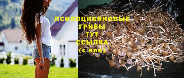 прущая мука Арсеньев