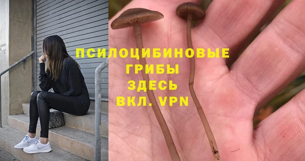 apvp Балахна